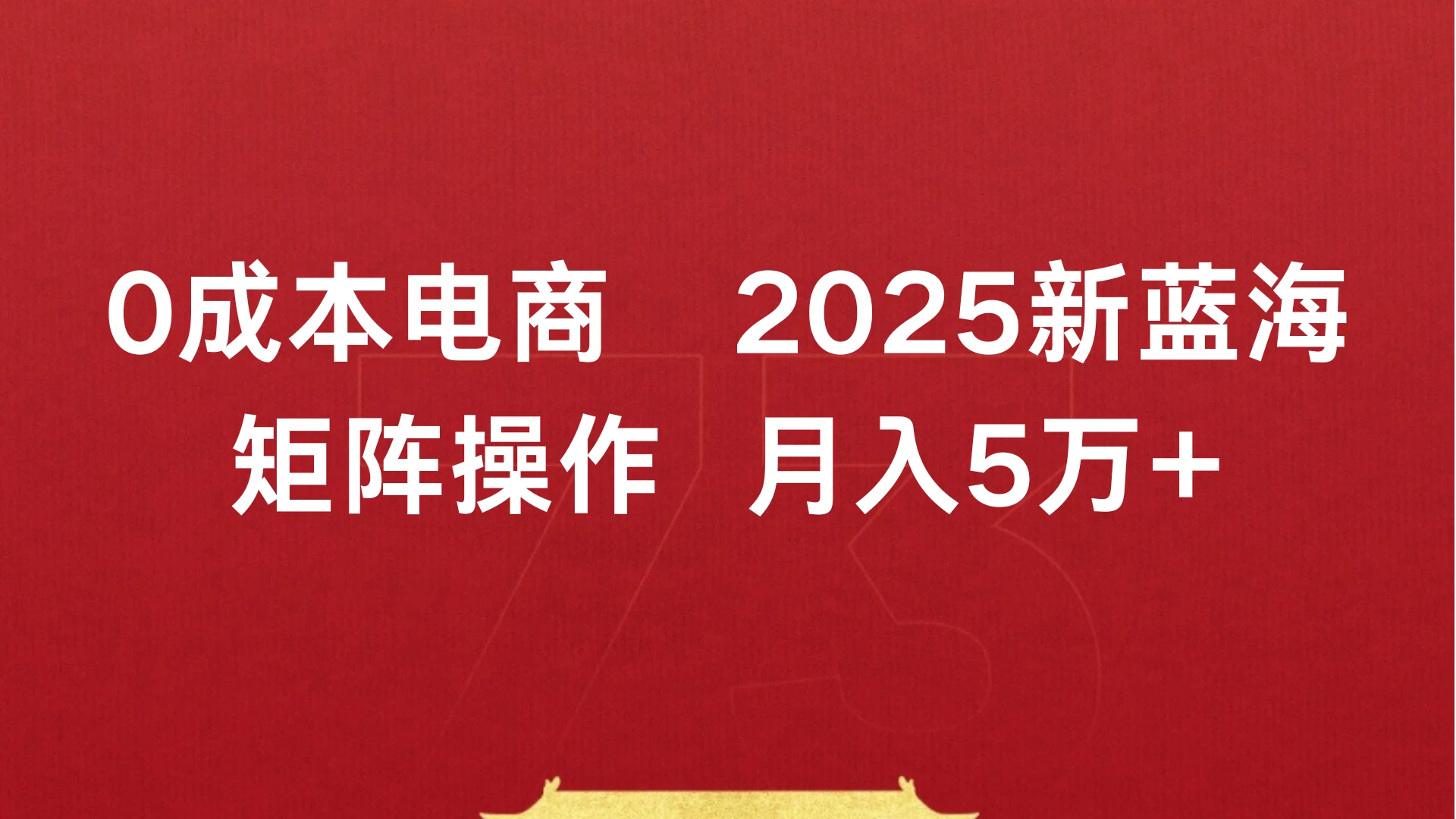 0成本电商，2025新蓝海，矩阵操作 月入5万+