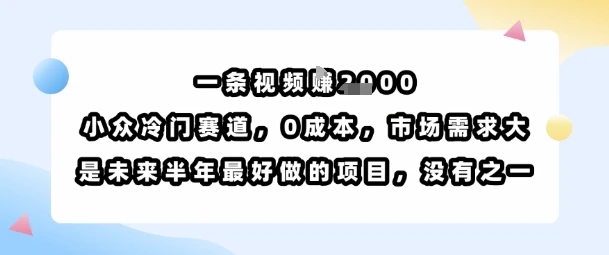 一条视频挣1k，小众冷门赛道，0成本，市场需求大，是未来半年最好做的项目，没有之一