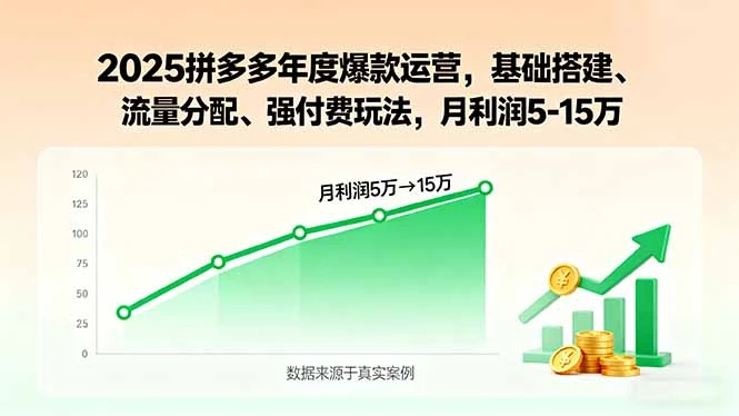 【精】2025拼多多年度爆款运营，基础搭建、流量分配、强付费玩法，月利润5-15万
