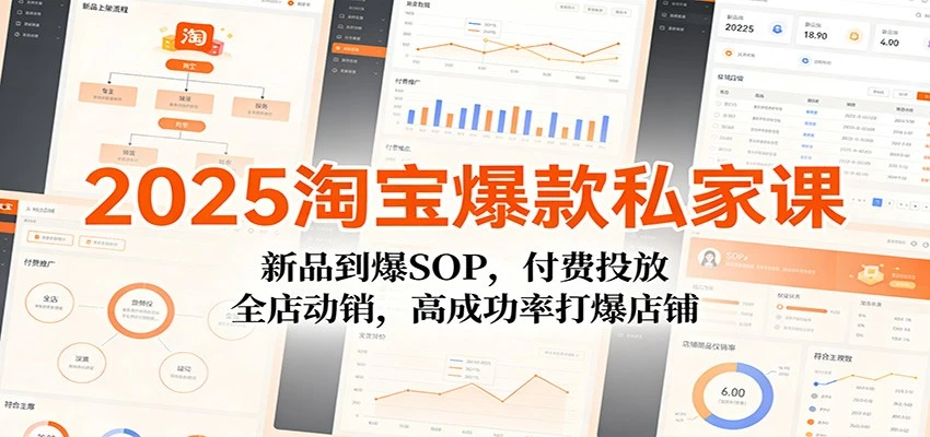【精】2025淘宝爆款私家课：新品到爆SOP，付费投放，全店动销，高成功率打爆店铺